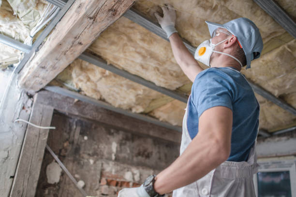 Best Cellulose Insulation in Auburn, MI